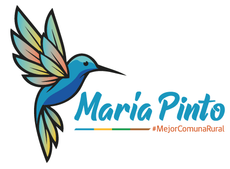 Ilustre Municipalidad de María Pinto